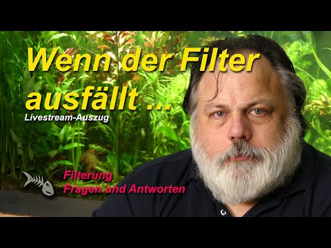 Wenn der Filter ausfällt. Was geschieht im Filter? - Mythos
