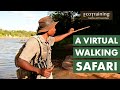A Virtual Safari Tracks And Signs EcoTraining Live From Selati