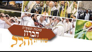 תפילת הלל בשירה שמחה וכוונת הלב מחברון | הרב שמואל אליהו | חול המועד סוכות תשפ"ד (הרב שמואל אליהו) - התמונה מוצגת ישירות מתוך אתר האינטרנט יוטיוב. זכויות היוצרים בתמונה שייכות ליוצרה. קישור קרדיט למקור התוכן נמצא בתוך דף הסרטון