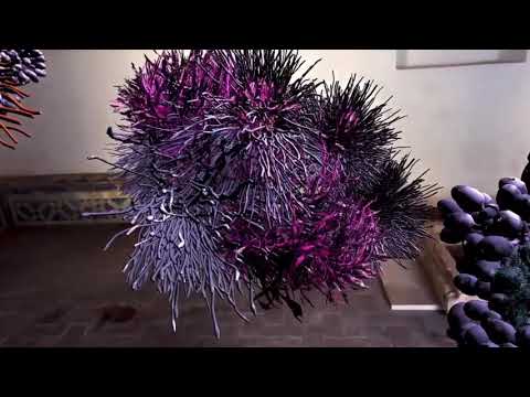 Anthozoa Digitalis [2020] Ilana Bonder and Joana Burd