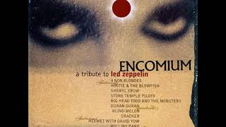 Hootie &amp; the Blowfish - Hey Hey What Can I Do &#39;95 [Led Zeppelin cover]