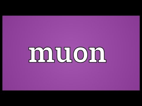 Muon Meaning