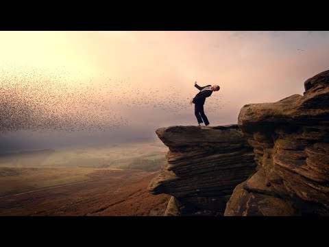 Mark Stoney - Swarm (ft. Franz Von) Official Video