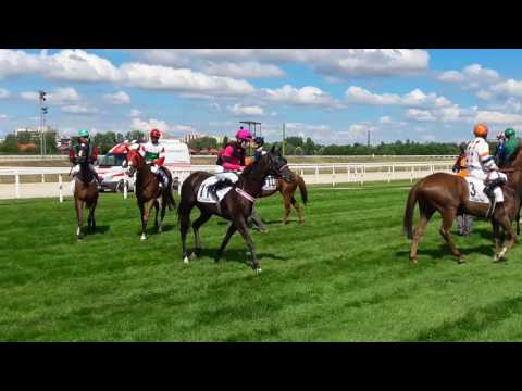 MAGÀNYOS DÌJ - beàllàs a startgèpbe - Kincsem park 2017.07.02.