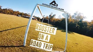 Rooster on a road trip part 2| Unleash the beast.