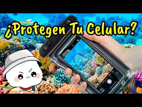 Peligros de usar el iPhone en la playa: agua salada y cómo proteger tu dispositivo