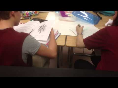 Collaborative Learning Kagan Structure - one write one draw
