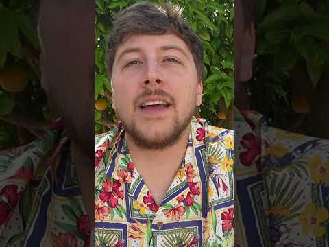 MON BILAN DE LA SAISON 2024/2025 pour suivre l'AC Ajaccio