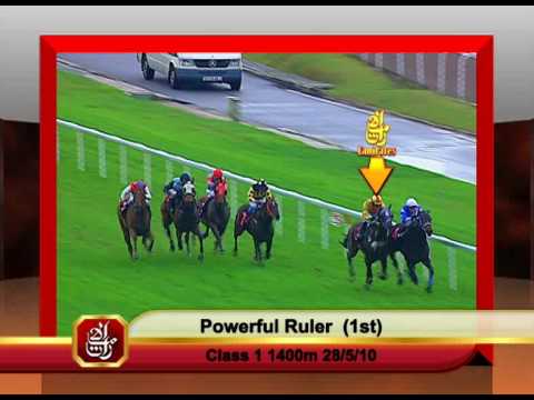 Emirates Singapore Derby 2010 Contenders (Powerful Ruler)