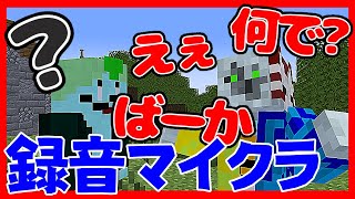 録音した声だけで会話してもバレねぇんじゃね？【録音マイクラ】
