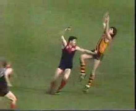 VFL Football R7 1988 - Melbourne v Hawthorn