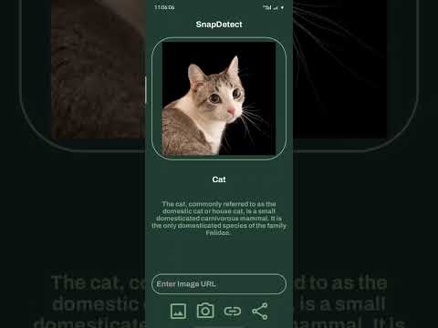 SnapDetect Demo Video