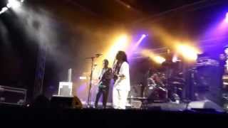 IRIE VIBES ROOTS FESTIVAL 2013 - Barry Dread ls Royal Kings Band - Peace&Love (with Harmony)