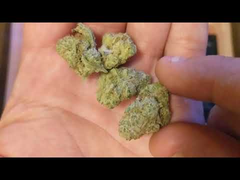 Grape God Bud 20 Trulieve Eustis