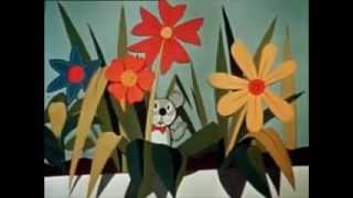 Gruff Rhys - Whale Trail (Centre Pan Removed)