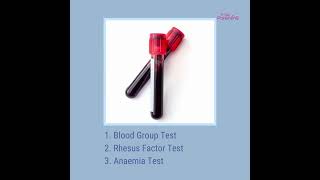 Essential Blood Test During Pregnancy