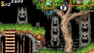 Vidéo Super Ghouls 'n Ghosts
