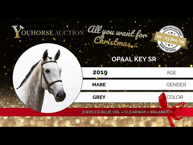 Opaal Key SR
