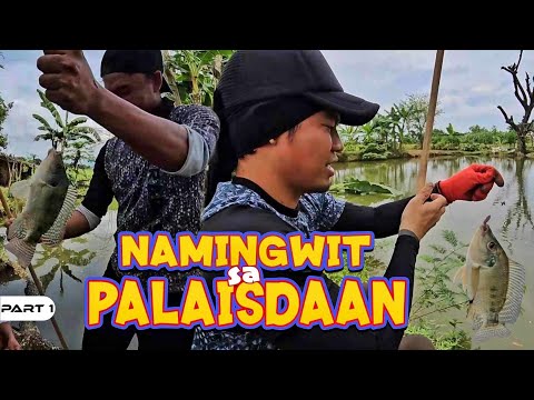 P1-PAMIMINGWIT SA PALAISDAAN - EP1137