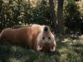 hachiko - right here waiting for you Richard Marx ...