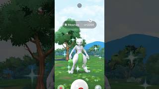 SHINY BACKGROUND MEGA MEWTWO!!! #pokemongo