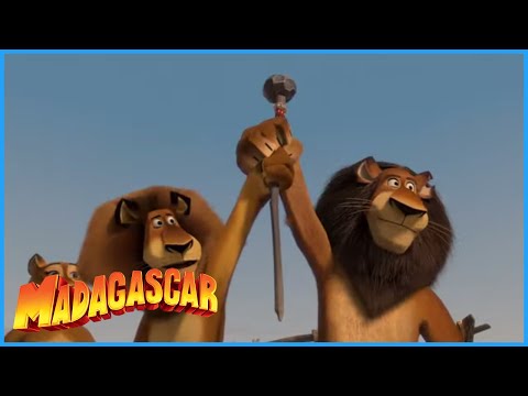 Madagascar: Can / Can't
