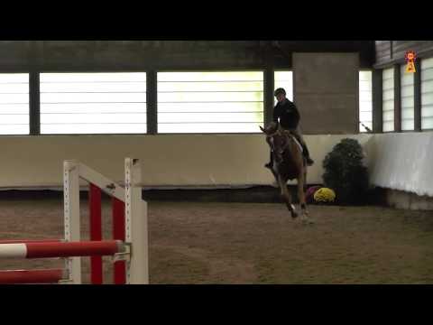 20 Magnus Romeo's Perle v. Magnus Romeo - Kolibri | Trainingsimpressionen