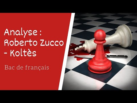 Roberto Zucco de Koltès Analyse