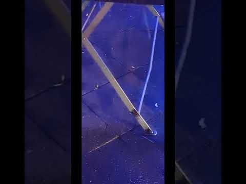 Skizzen für eine Komposition, No. 1