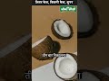Coconut Curd Dahi Ke Fayade Badam Curd Healthiest Curd Shuddhi Ayurveda Acharya Manish Ji