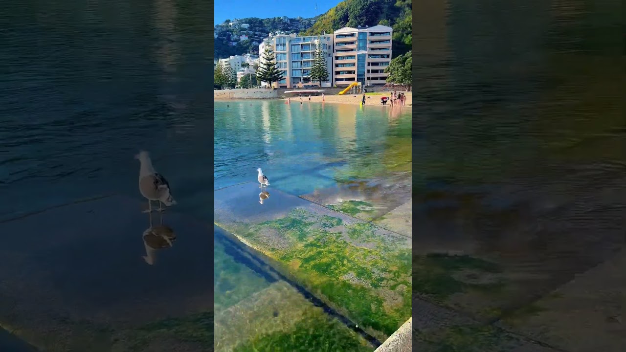 YouTube Short thumbnail