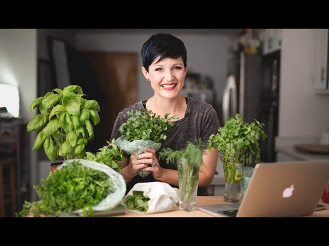 download lagu mp3 mp4 Herb Garnishes, download lagu Herb Garnishes gratis, unduh video klip Herb Garnishes