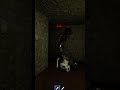 This Is A FUN Roblox HORROR Game To Play With Your Friends