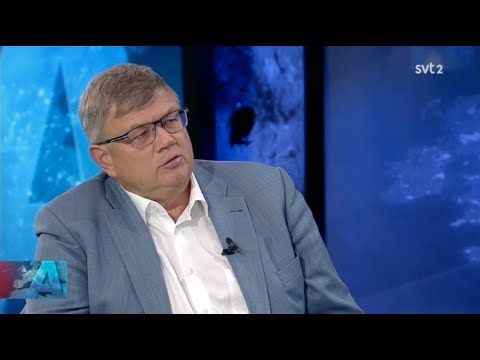 "Det saknas en krisberedskap i Sverige" - Mikael Holmström om Hesa Fredrik (SVT Aktuellt 10/7 2017)