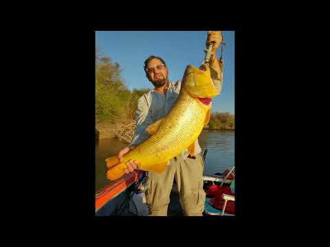 MARIANO FLORES  DESDE VILLA TULUMBA CORDOBA EN LA PESCA TIENE SU DIA :la pesca al garete del dorado.