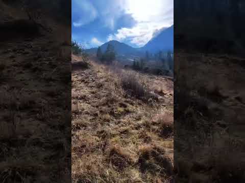 Teren intravilan de vanzare  Sacele — Video