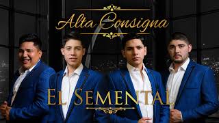El Semental (AUDIO) - Alta Consigna 2018