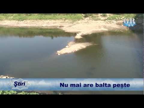 Nu mai are balta pește