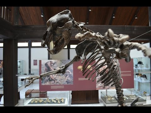 Najava, Moja lepa Srbija - Aranđelovac