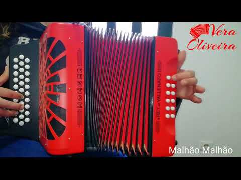 Como tocar o Malhão Malhão - Concertina em Sol