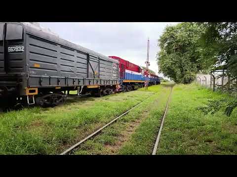 Gt (9099)+Gaia (6257)+Alco (8257)+Alco (8226)+ Gr (6627)+Gr (6596) livianas en vía 2 de La banda..