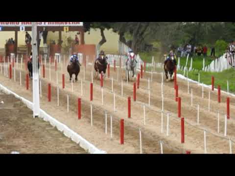 2 Páreo Clas XII GP Haras Primavera Canindé CE 23 e 24 de Março de 2019