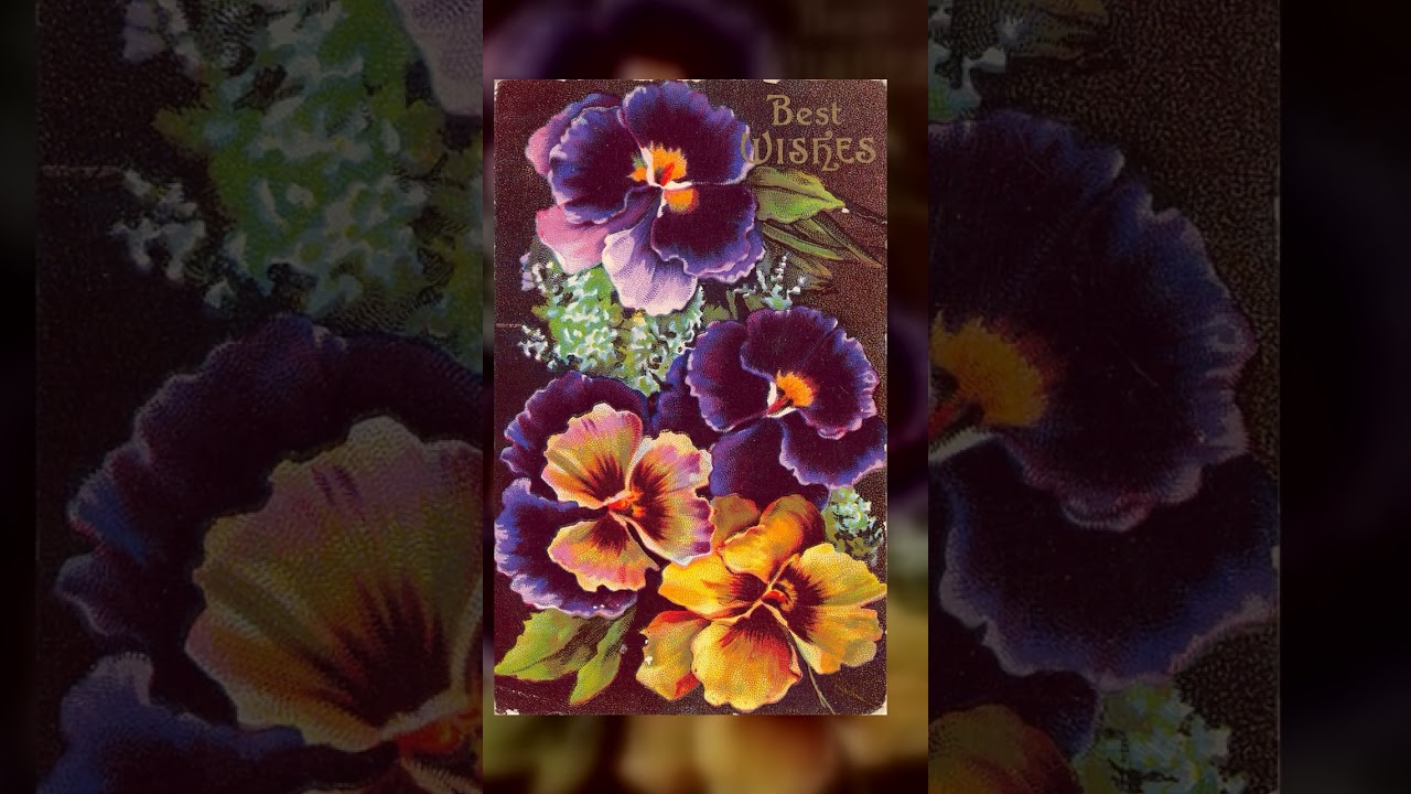 German Publisher, Divided Back, Best Wishes Floral, 1909 Postmark Video