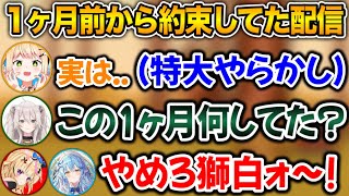 「今からねねんち来れる?」 - やらかしたねねに、思いっきり正論パンチをぶつける獅白ぼたんwww【ホロライブ切り抜き/雪花ラミィ/獅白ぼたん/桃鈴ねね/尾丸ポルカ】