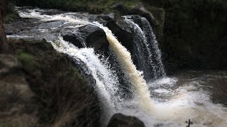 Narracan Falls, Gippsland | Waterfall in Australia | Cinematic Travel Video