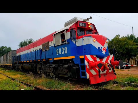 [4K] Tren de tolvas graneras de NCA con destino a General Deheza pasando por Marcos Juárez!!!!!!