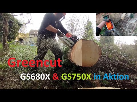 Greencut GS680X & GS750X in Aktion beim Aufarbeiten von Brennholz