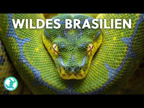 XXL Doku: Die größten Naturwunder Brasiliens