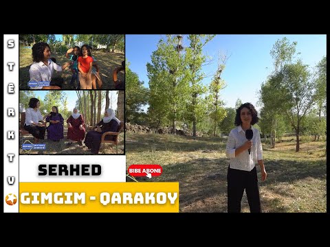 Serhed - Gimgim / Qarakoy