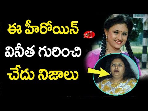 హీరోయిన్ వినీత గురించి చేదు నిజాలు | about heroin vineetha | Gossip Adda